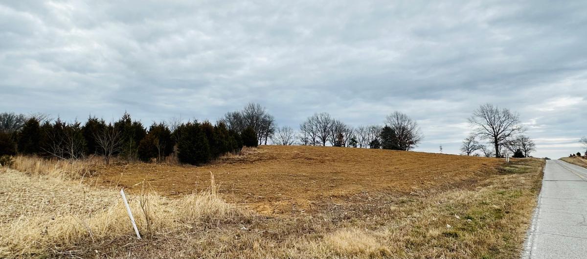 NICE SALINE CO, ILLINOIS BUILDING LOTS Peabody Land